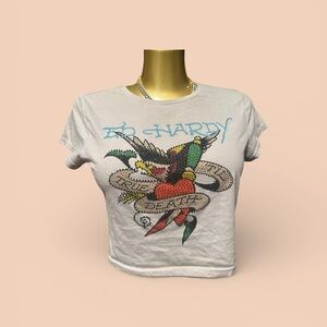 Ed Hardy Gray/ MultiColoured Crop Top with Colorful Snake Design